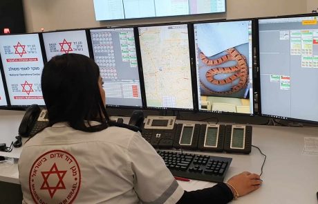 עלייה משמעותית במקרי הכשות נחשים בישראל
