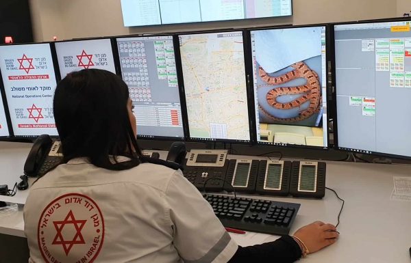 עלייה משמעותית במקרי הכשות נחשים בישראל