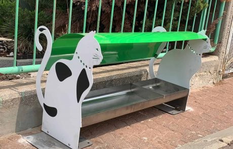 צפת: דואגים לבעלי החיים בעיר…