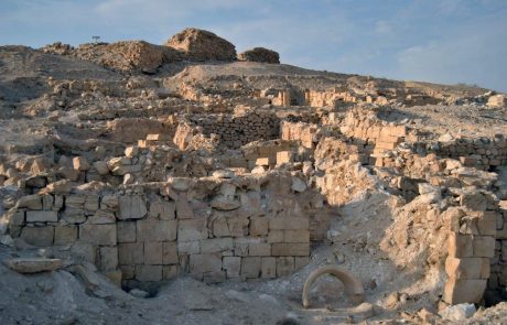 גללי הצאן מגלים את סיפור השקיעה של ערי הנגב הביזנטיות