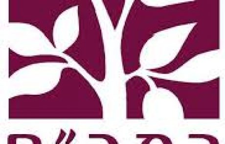רמב"ם: המיון ב-200 אחוזי תפוסה